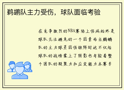 鹈鹕队主力受伤，球队面临考验