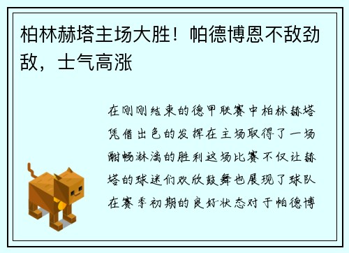 柏林赫塔主场大胜！帕德博恩不敌劲敌，士气高涨