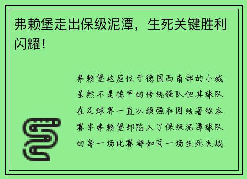 弗赖堡走出保级泥潭，生死关键胜利闪耀！