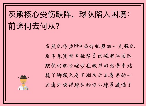 灰熊核心受伤缺阵，球队陷入困境：前途何去何从？