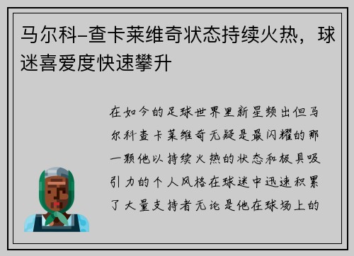 马尔科-查卡莱维奇状态持续火热，球迷喜爱度快速攀升